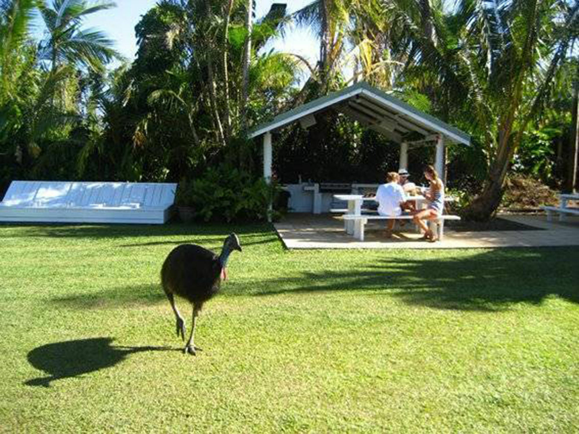Absolute Backpackers Mission Beach Exterior photo
